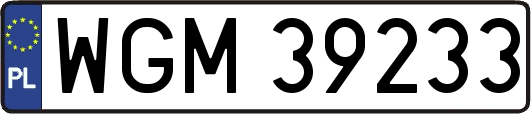 WGM39233