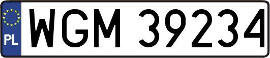 WGM39234