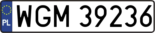 WGM39236
