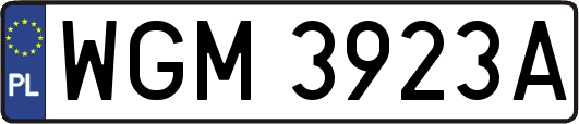 WGM3923A