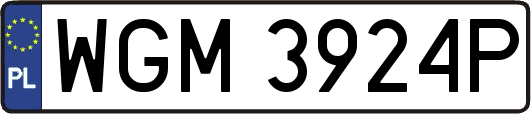 WGM3924P