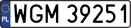 WGM39251