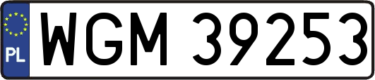 WGM39253