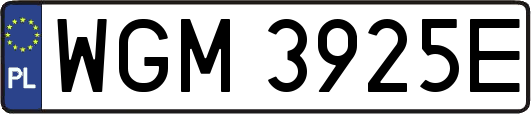 WGM3925E