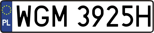WGM3925H