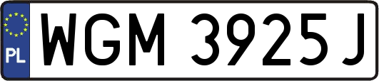 WGM3925J