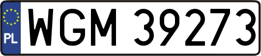 WGM39273