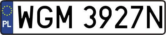 WGM3927N