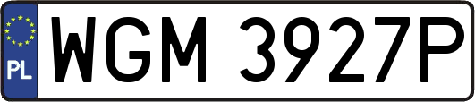 WGM3927P