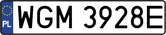 WGM3928E