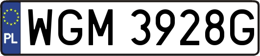 WGM3928G