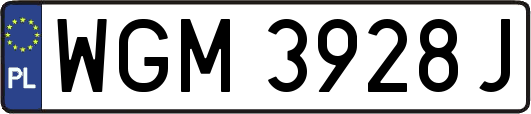 WGM3928J