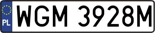 WGM3928M