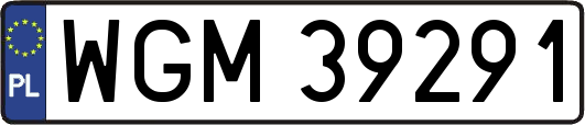 WGM39291