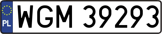 WGM39293