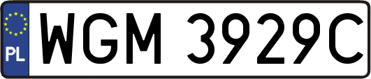 WGM3929C