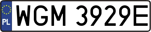 WGM3929E