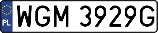 WGM3929G