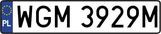 WGM3929M