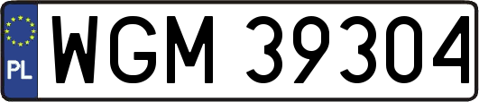 WGM39304