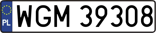 WGM39308