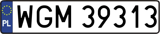 WGM39313