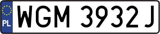WGM3932J