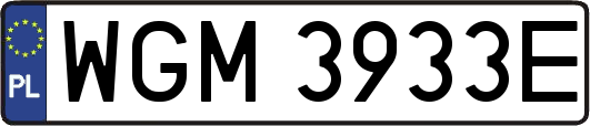 WGM3933E