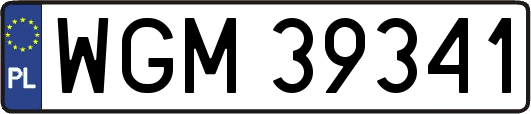 WGM39341