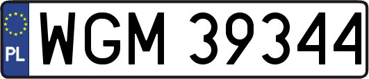 WGM39344