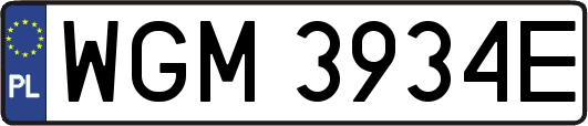 WGM3934E