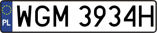 WGM3934H