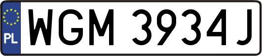 WGM3934J