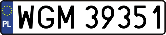 WGM39351