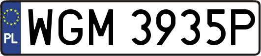 WGM3935P