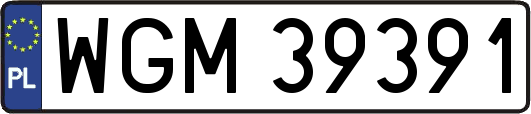 WGM39391