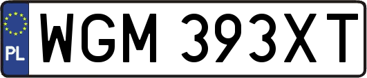 WGM393XT