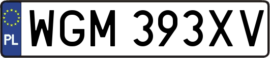 WGM393XV