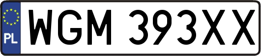 WGM393XX