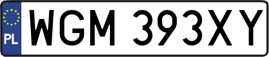 WGM393XY