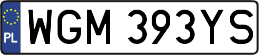 WGM393YS