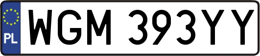 WGM393YY