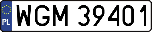 WGM39401