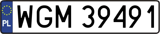 WGM39491