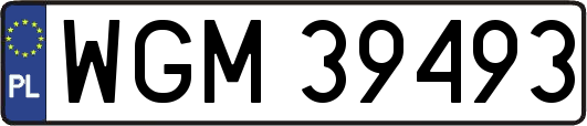 WGM39493