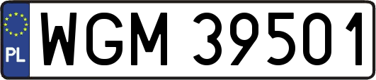 WGM39501