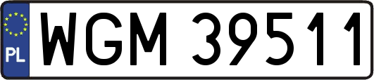 WGM39511
