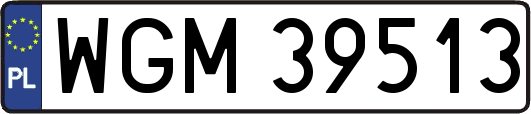 WGM39513