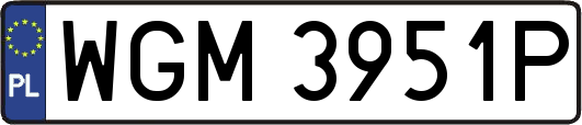 WGM3951P