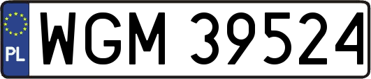 WGM39524